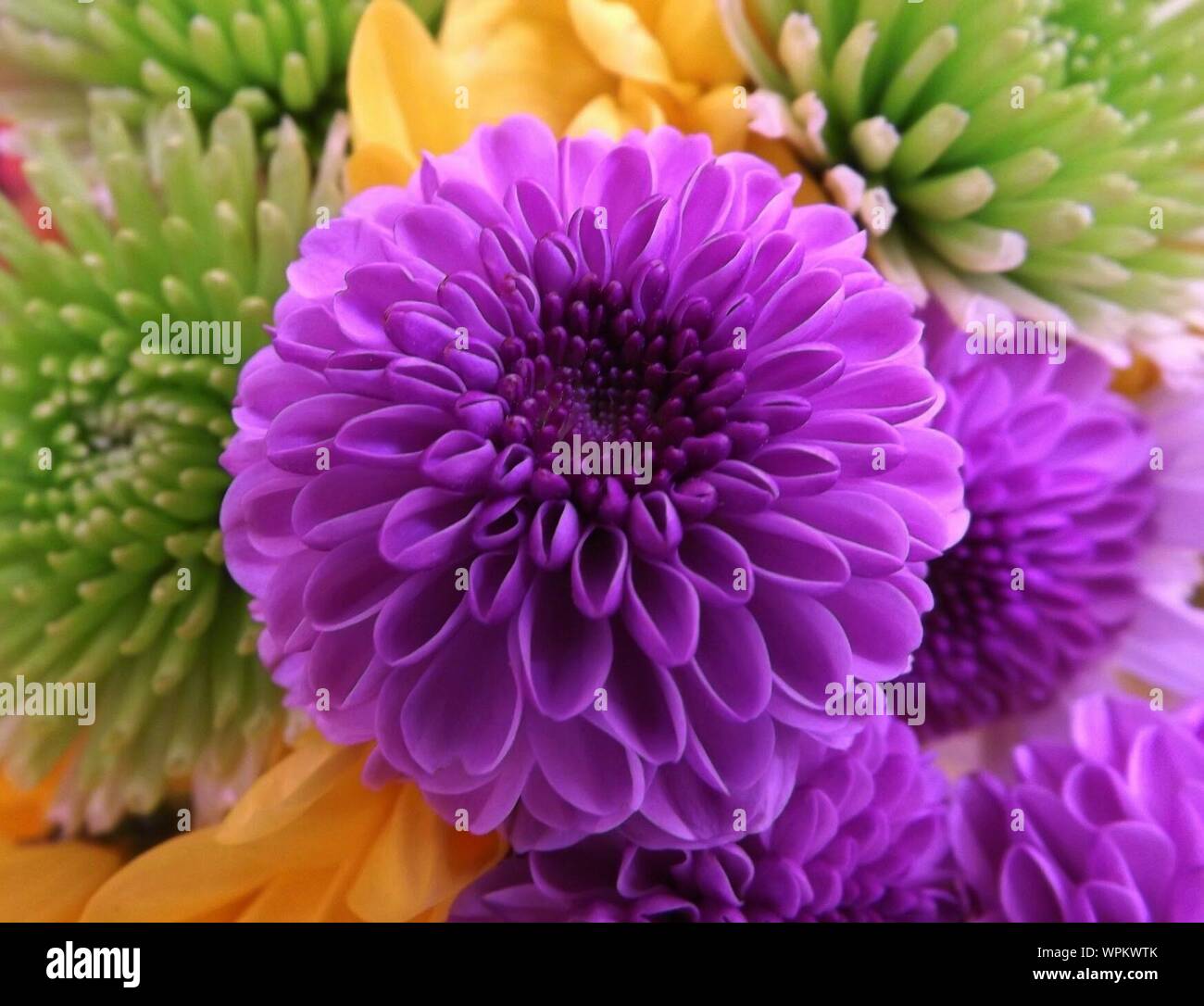 Flower With Purple Petals Stock Photo