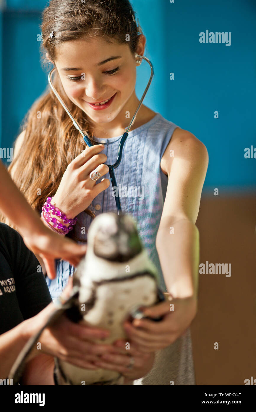 Family enjoying day at aquarium Stock Photo - Alamy