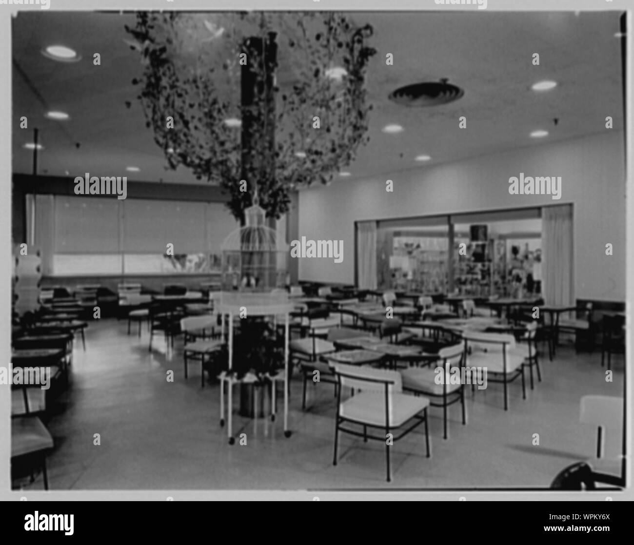 Lord and taylor jersey hires stock photography and images Alamy