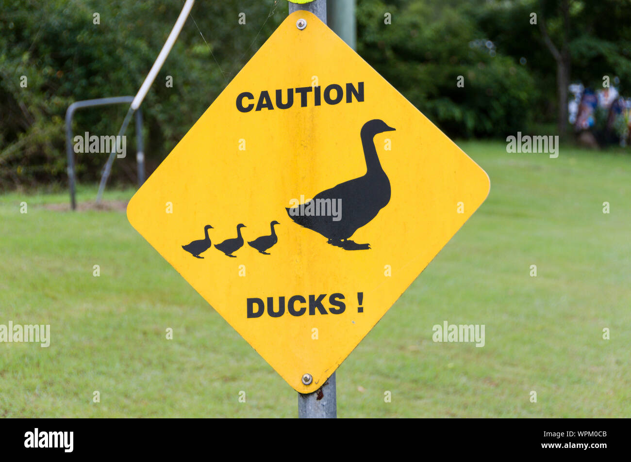 A traffic sign, warning motorists of a 'ducks crossing' near the Somerset Dam at Lake Wivenhoe, and the Brisbane river, 80 kilometres inland by road fro Stock Photo