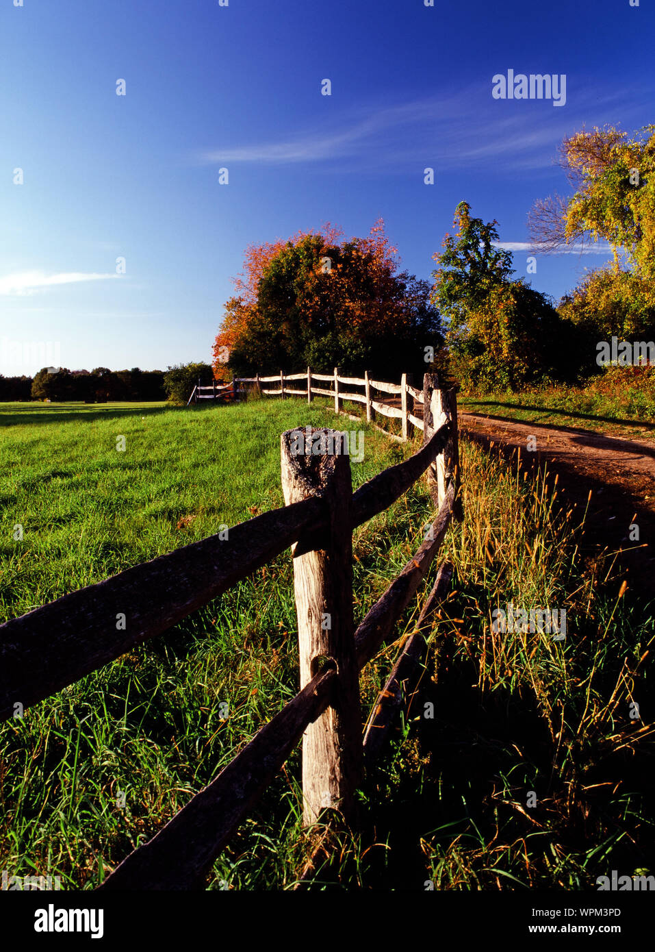 Pasture fence hi-res stock photography and images - Alamy