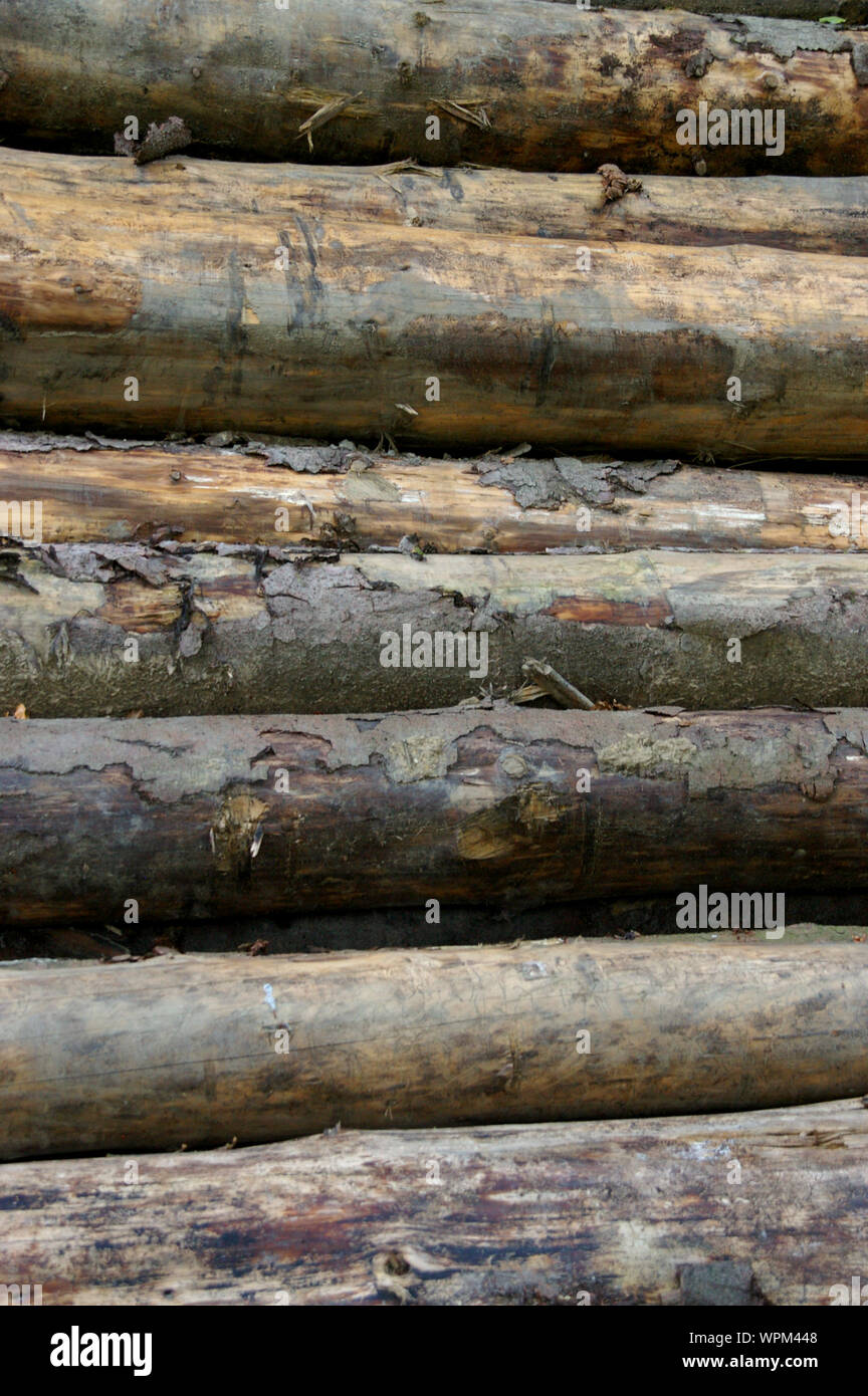 A pile of logs with peeling bark for background texture, Stapel mit Baumstämmen geeignet für Hintergrund / Hintergründe Stock Photo