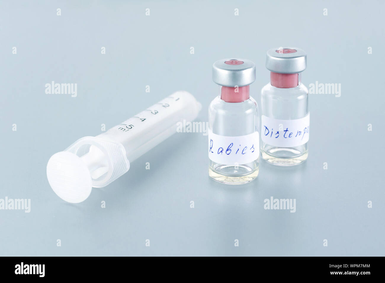 medicine bottle with rabies vaccine and distemper for animal health Stock Photo