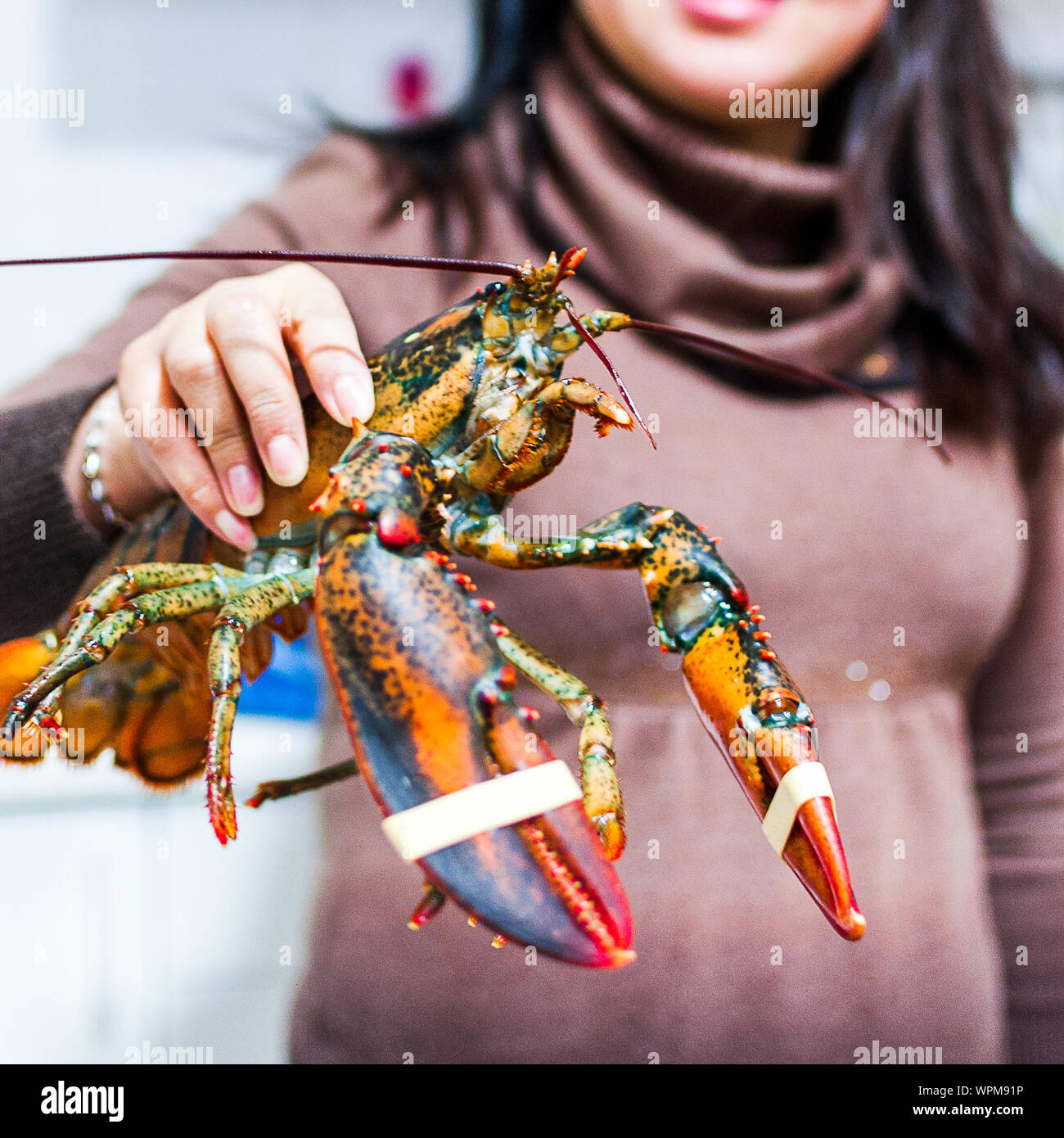 Woman Lobster High Resolution Stock Photography and Images Alamy