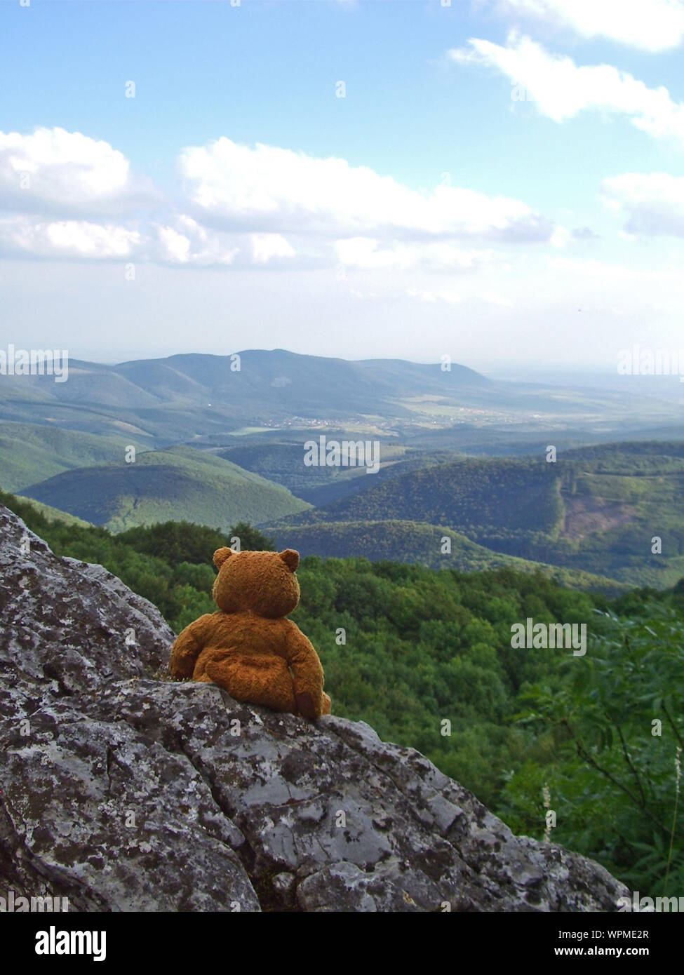 teddy bear mountain