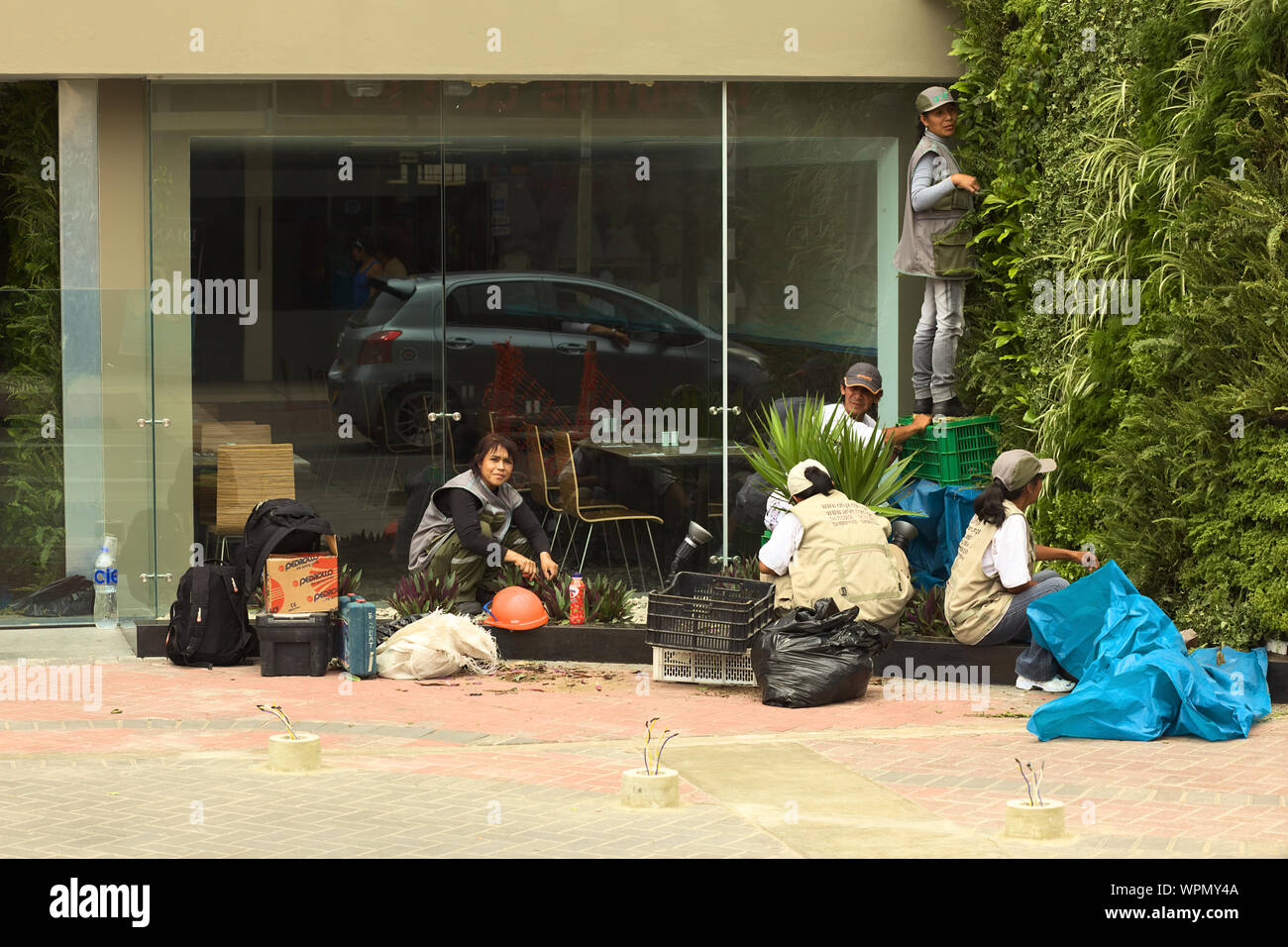 LIMA, PERU - FEBRUARY 11, 2012: Unidentified people arranging a green area in front of a building on February 11, 2012 in Miraflores, Lima, Peru. Stock Photo