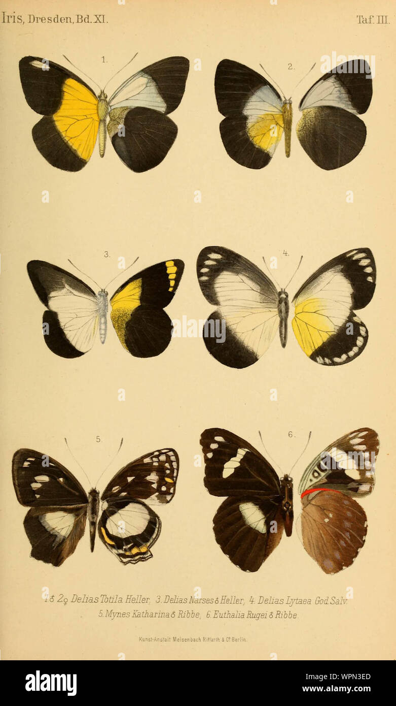 5 Heller High Resolution Stock Photography And Images Alamy