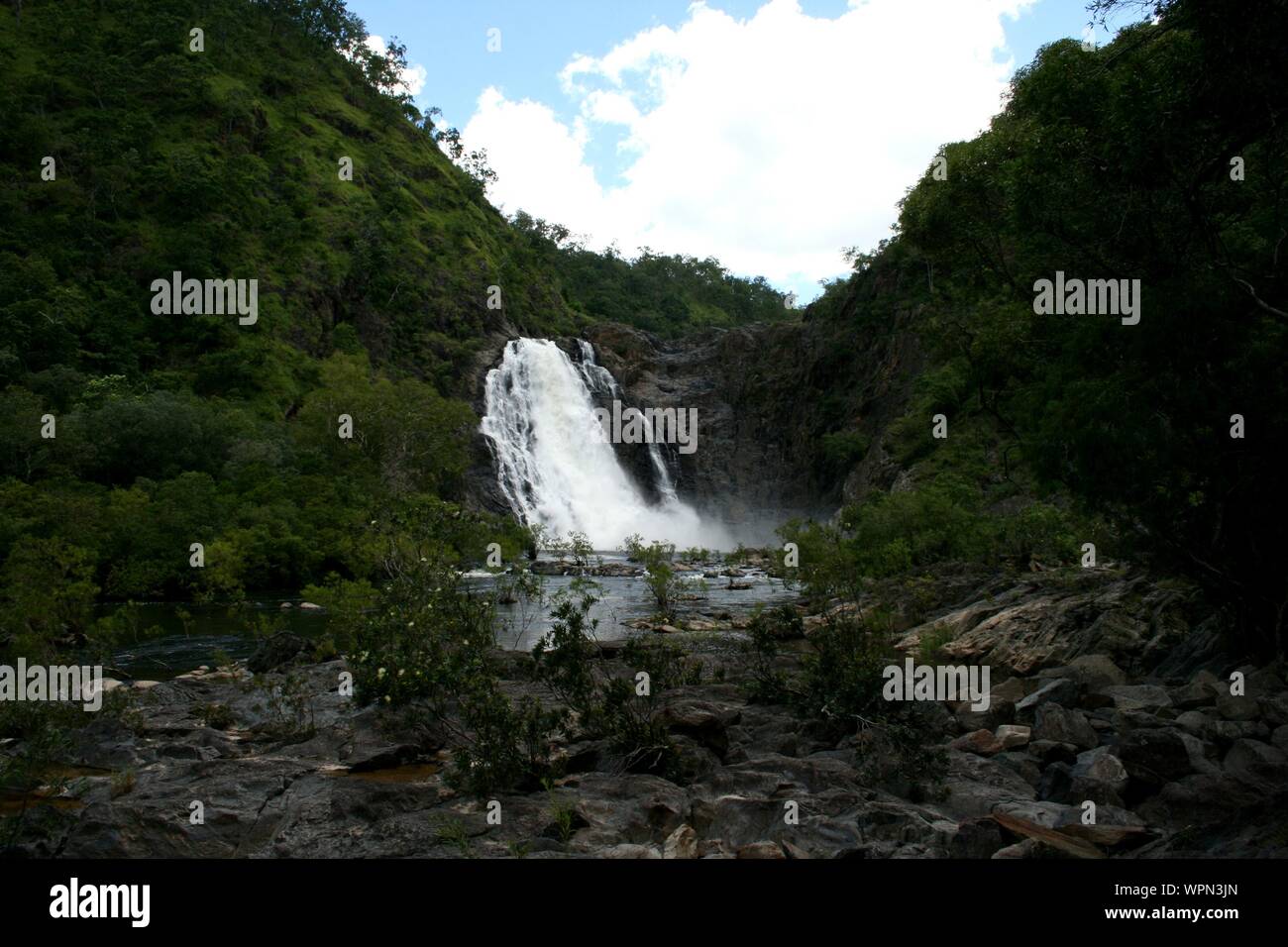 Mangrove Beach at Bloomfield Track in North Queensland, Daintree Rainforest, Cape Tribulation, Australia Stock Photo