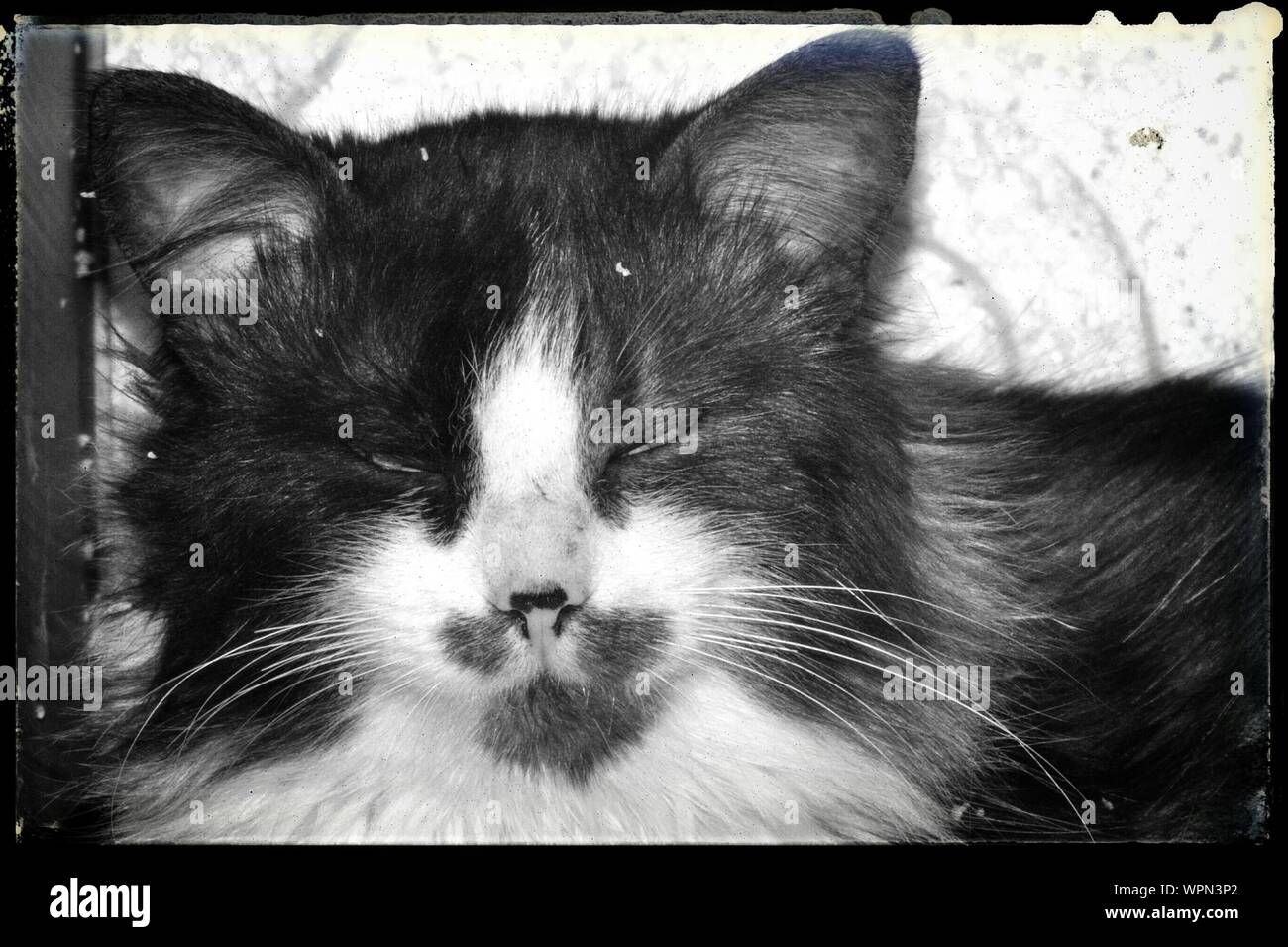 Closing eyes hires stock photography and images Alamy