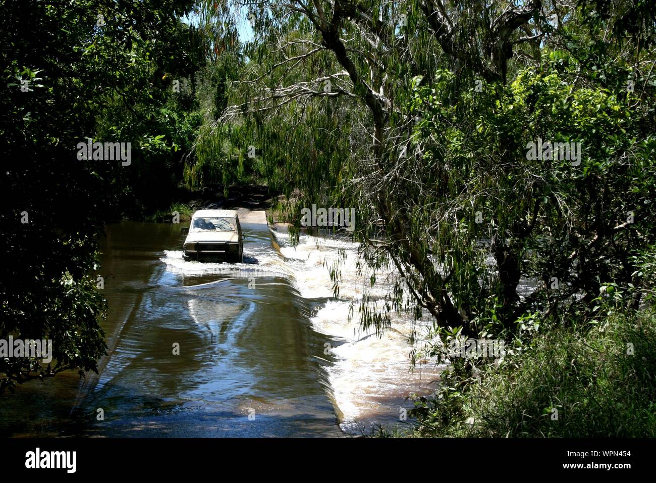 Watercrossing with two 4x4 in North Queensland, Daintree Rainforest, Cape Tribulation, Australia Stock Photo