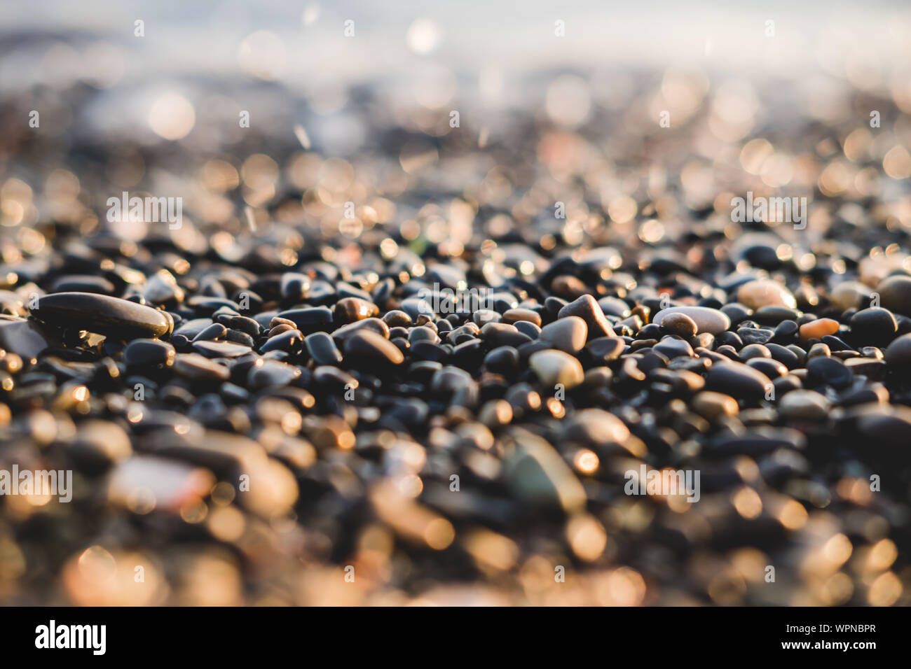Small stones by the sea with bokeh effect. Blurred decorative background,  place for text. Summer wallpaper, sunny sunset light Stock Photo - Alamy