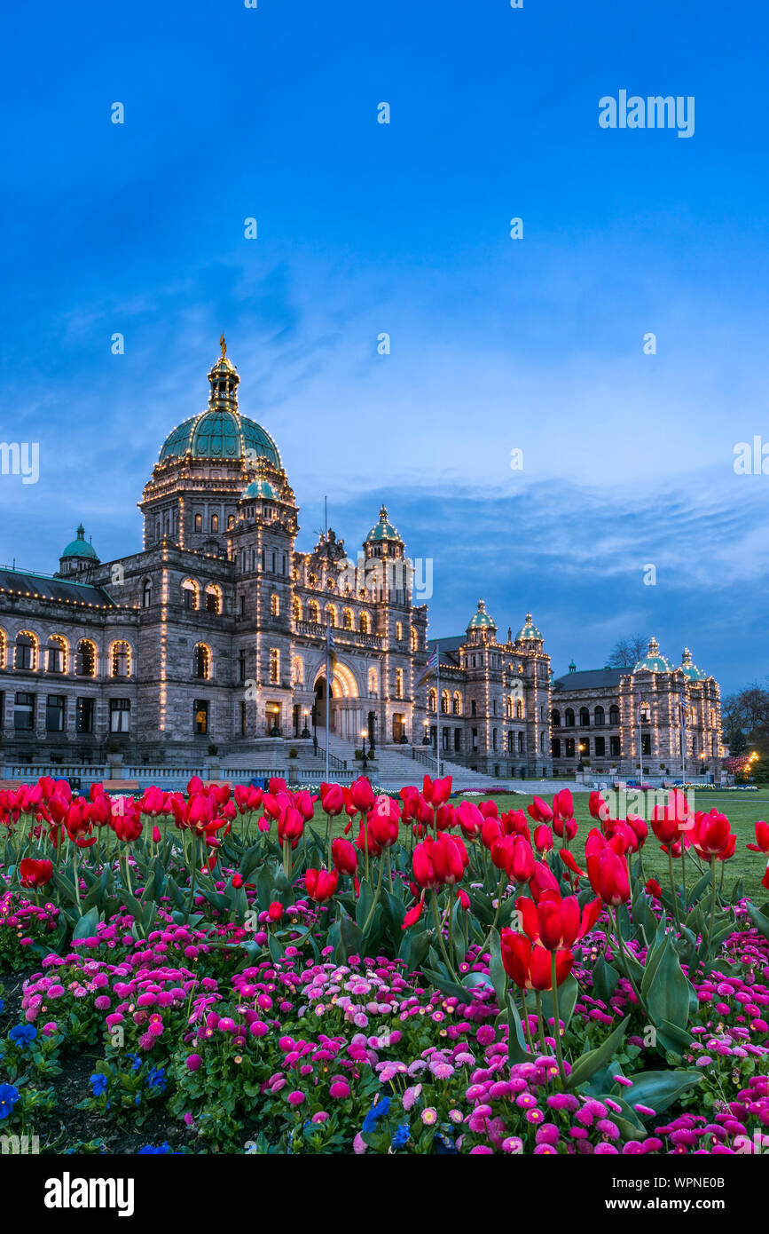 Spring garden with tulips, British Columbia Legislature, Victoria, British Columbia, Canada Stock Photo
