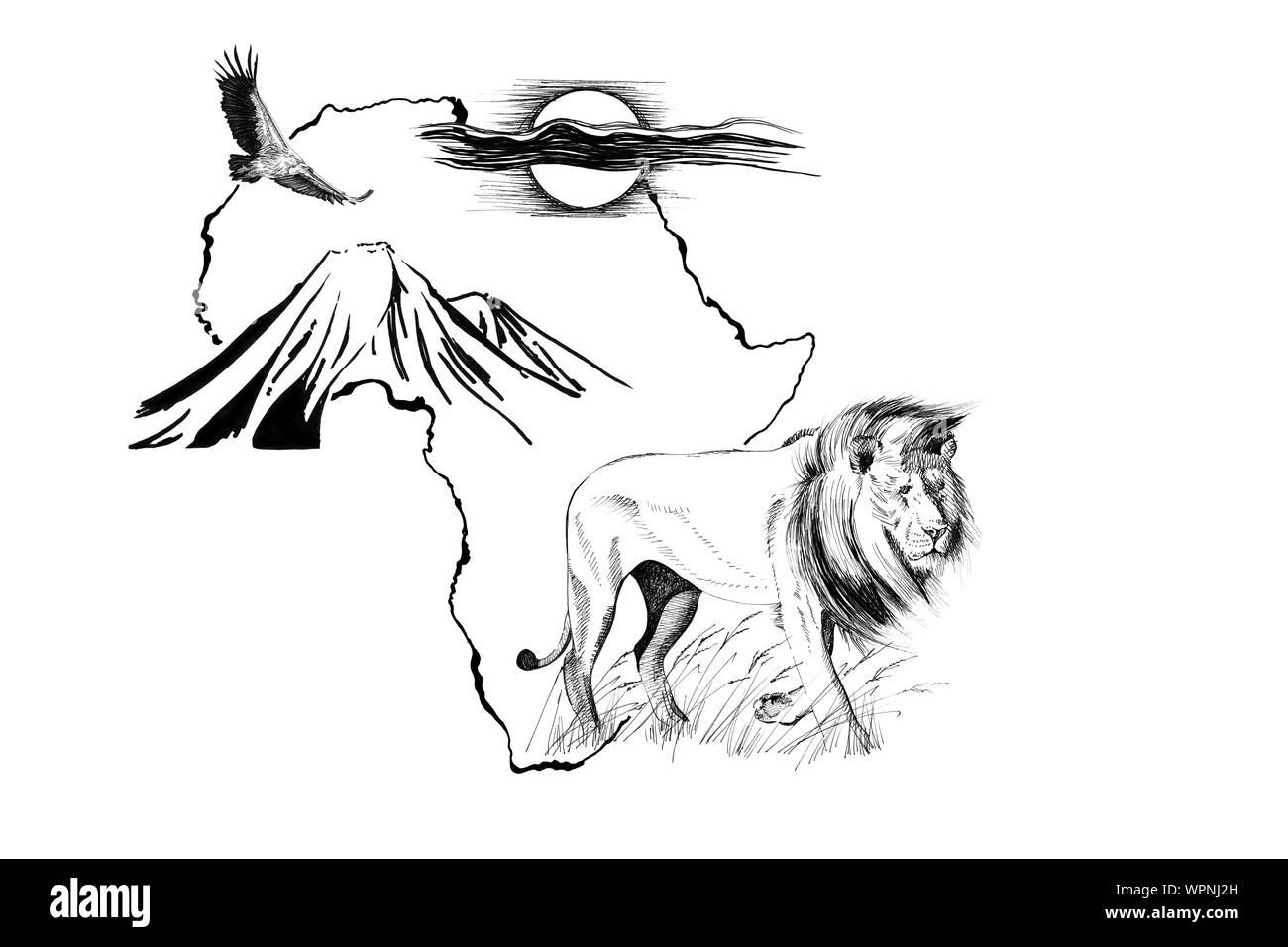 Lion on Africa map background with Kilimanjaro mountain, vulture and sun. Collection of hand drawn illustrations (originals, no tracing) Stock Photo