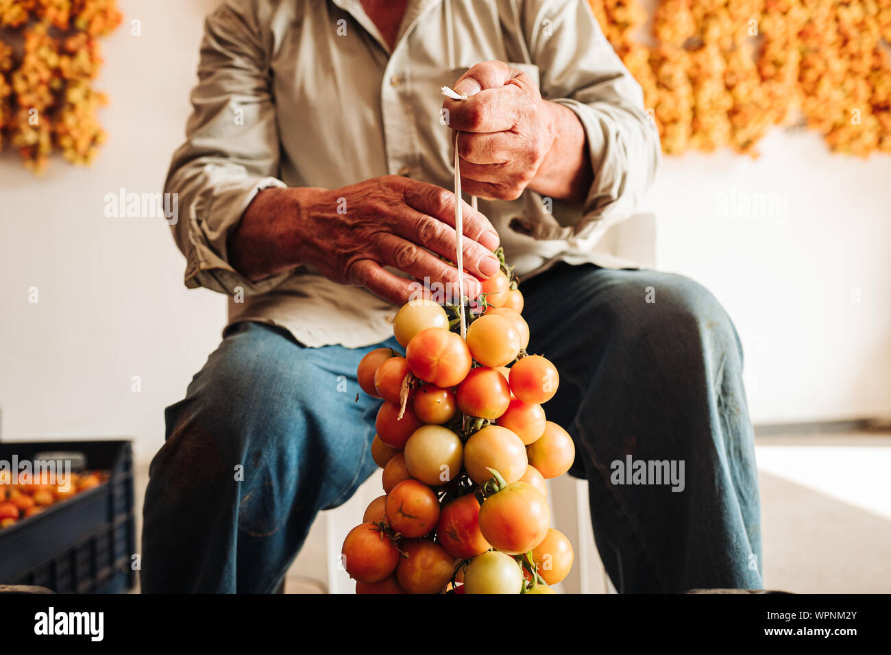 PUGLIA / ITALY AUGUST 2019 The old tradition of hanging cherry