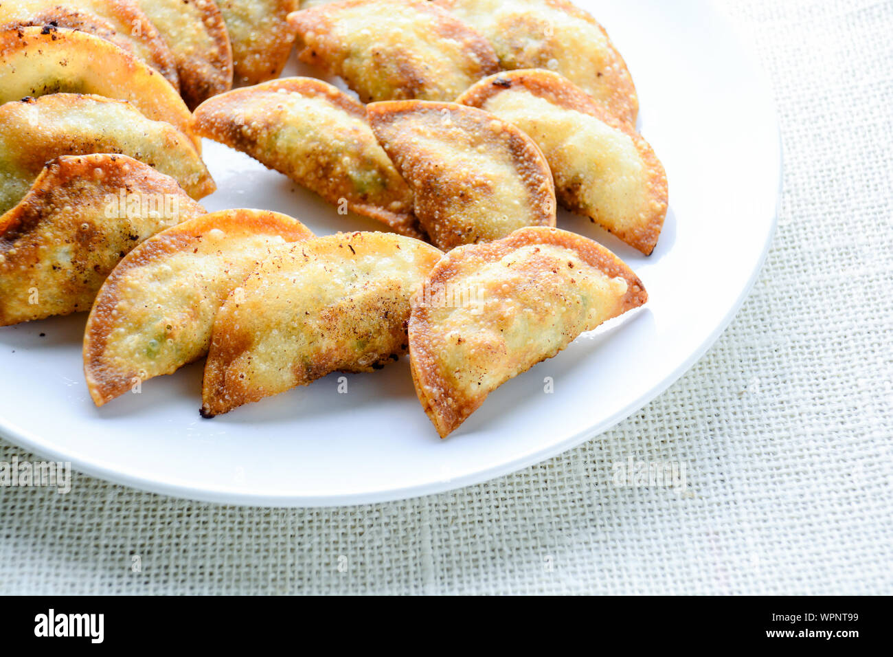 Japanese Fried Dumplings, the half moonshaped dumplings served in