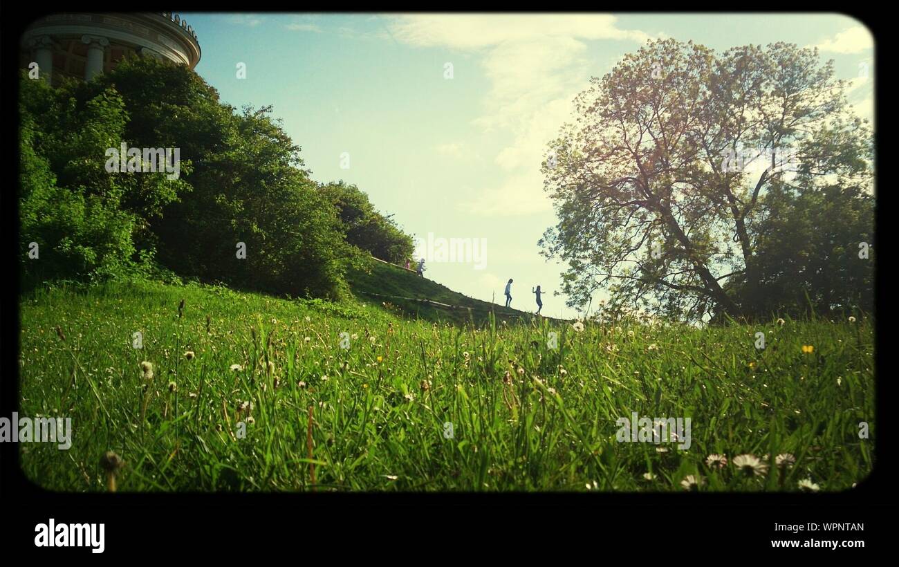 Children playing in park hi-res stock photography and images - Alamy