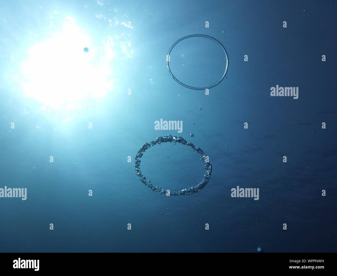 Ring in the water hires stock photography and images Alamy