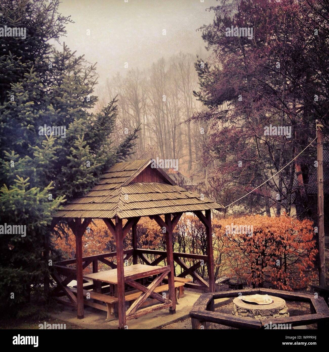 Picnic Table In Gazebo By Fire Pit In Back Yard Stock Photo Alamy