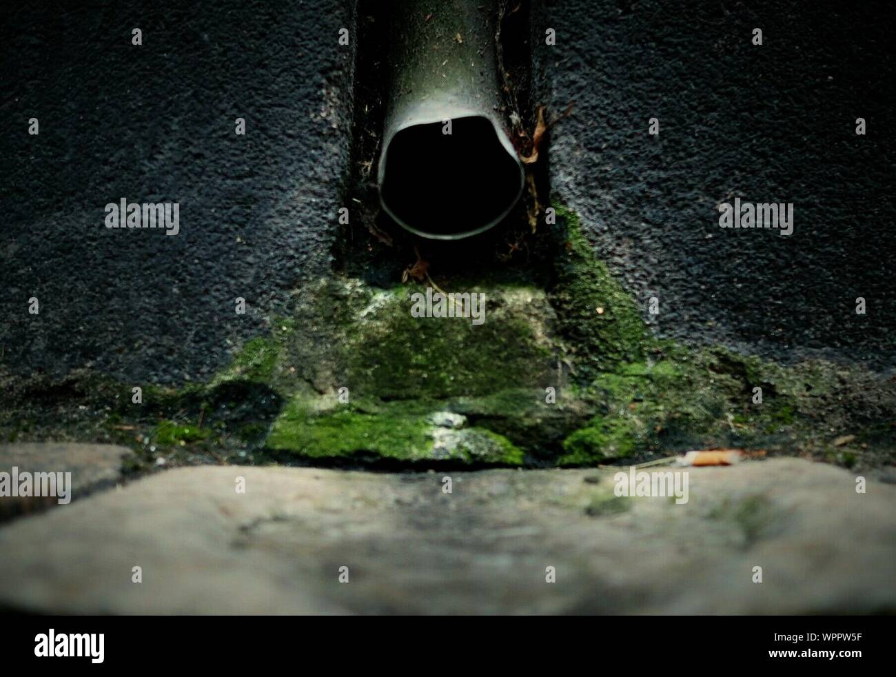 Close-up Of Sewage Pipe On Mossy Wall Stock Photo