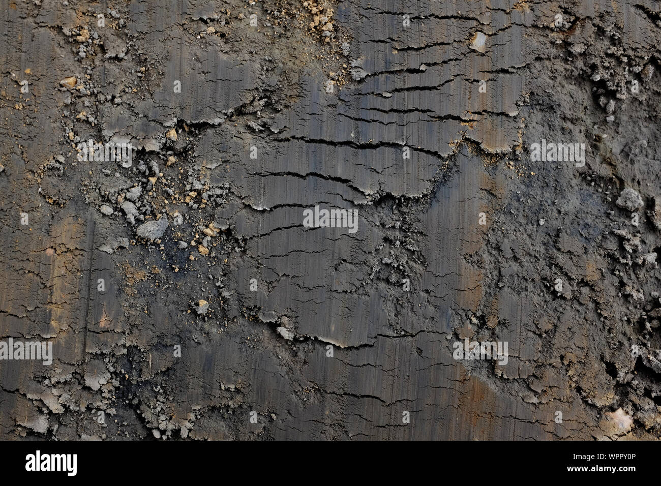 Unweathered dark grey Weald clay, scraped smooth by a digger with streak of black and brown - abstract background texture Stock Photo