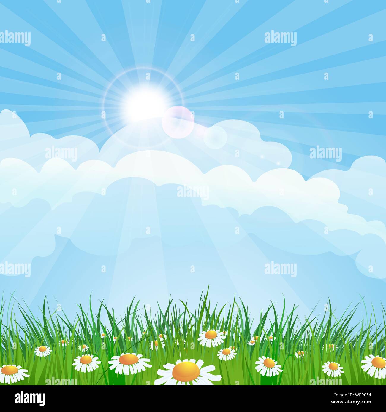 Summer Fields landscape. Meadow flowers and grass against clear blue sky. Vector background Stock Vector