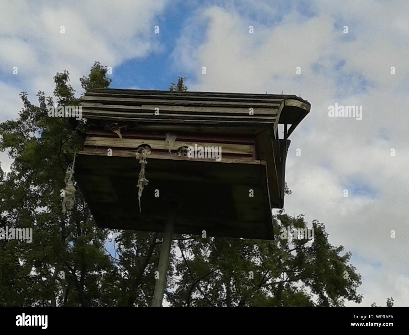 Birdhouse on pole hi-res stock photography and images - Alamy