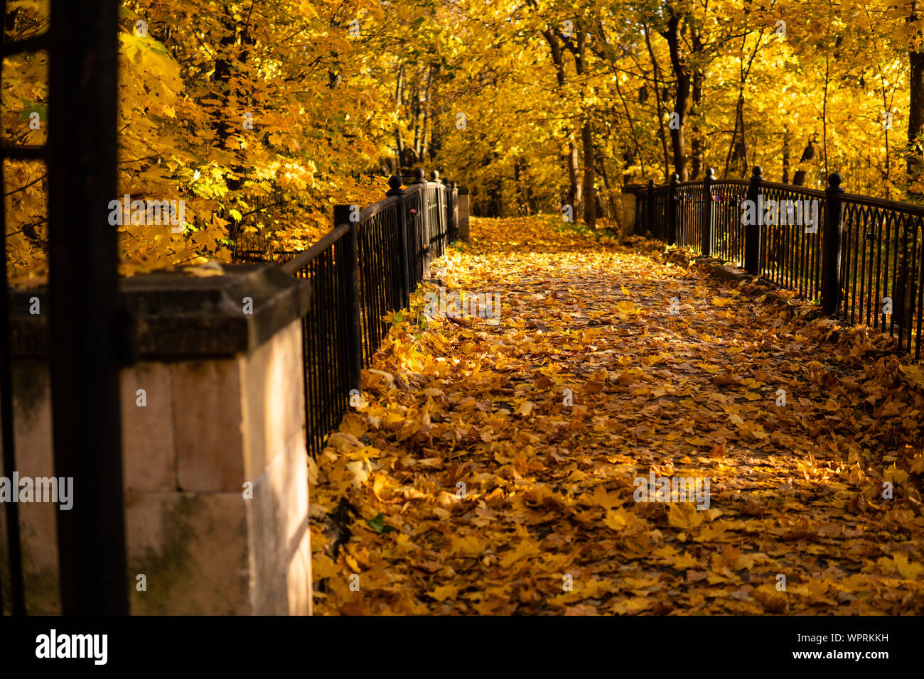 Autumn - An ancient bridge in an autumn leafy park Stock Photo - Alamy
