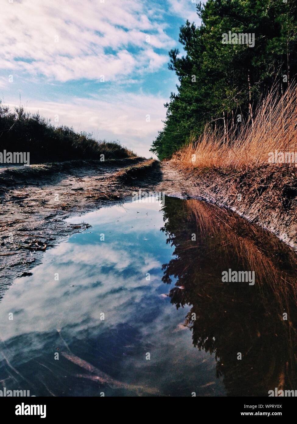 Cloudy sky reflected in water hi-res stock photography and images - Alamy