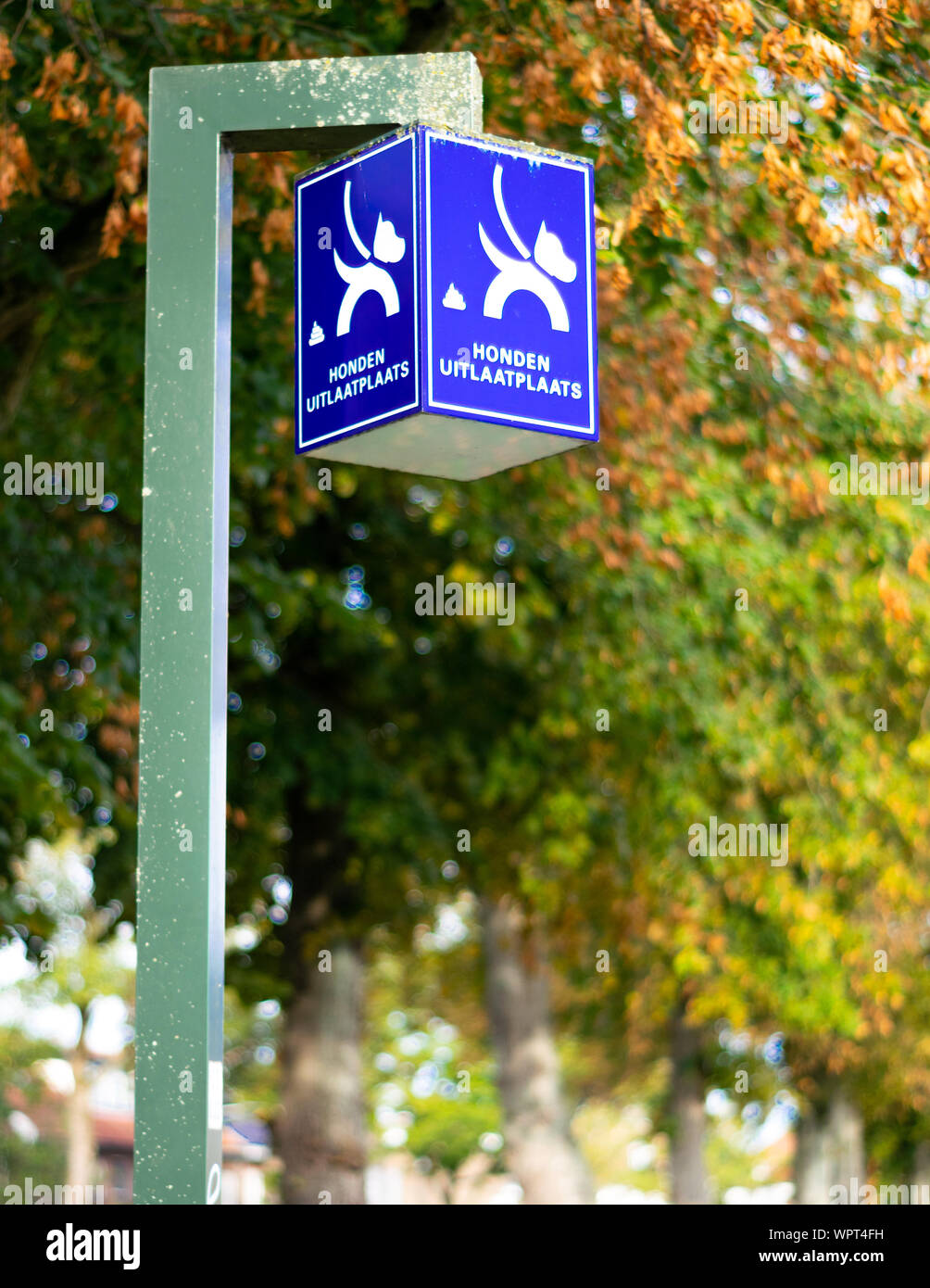 Dog exhaust place to make dogs poop Stock Photo Alamy