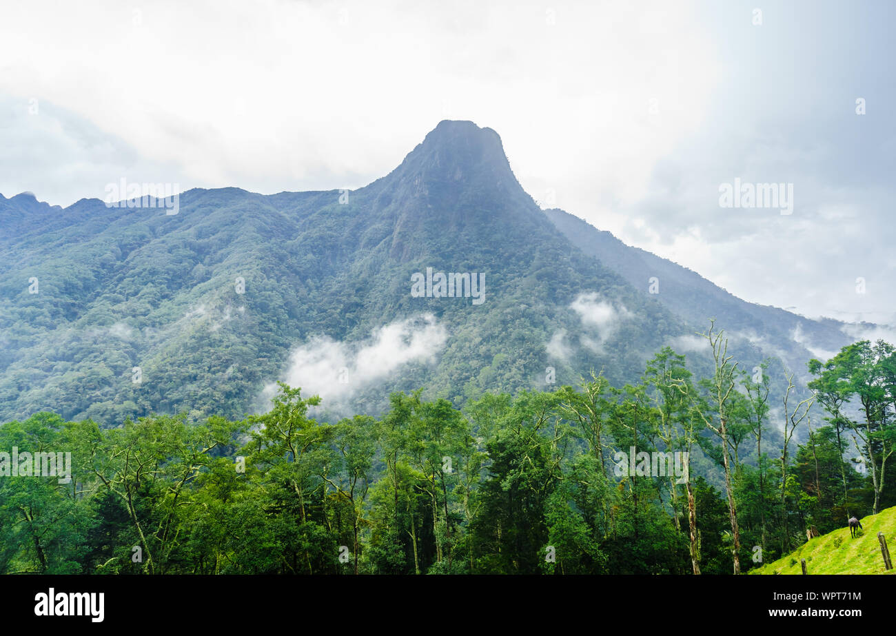 View on moutains of Cocora Valley next to Salento, Colombia Stock Photo