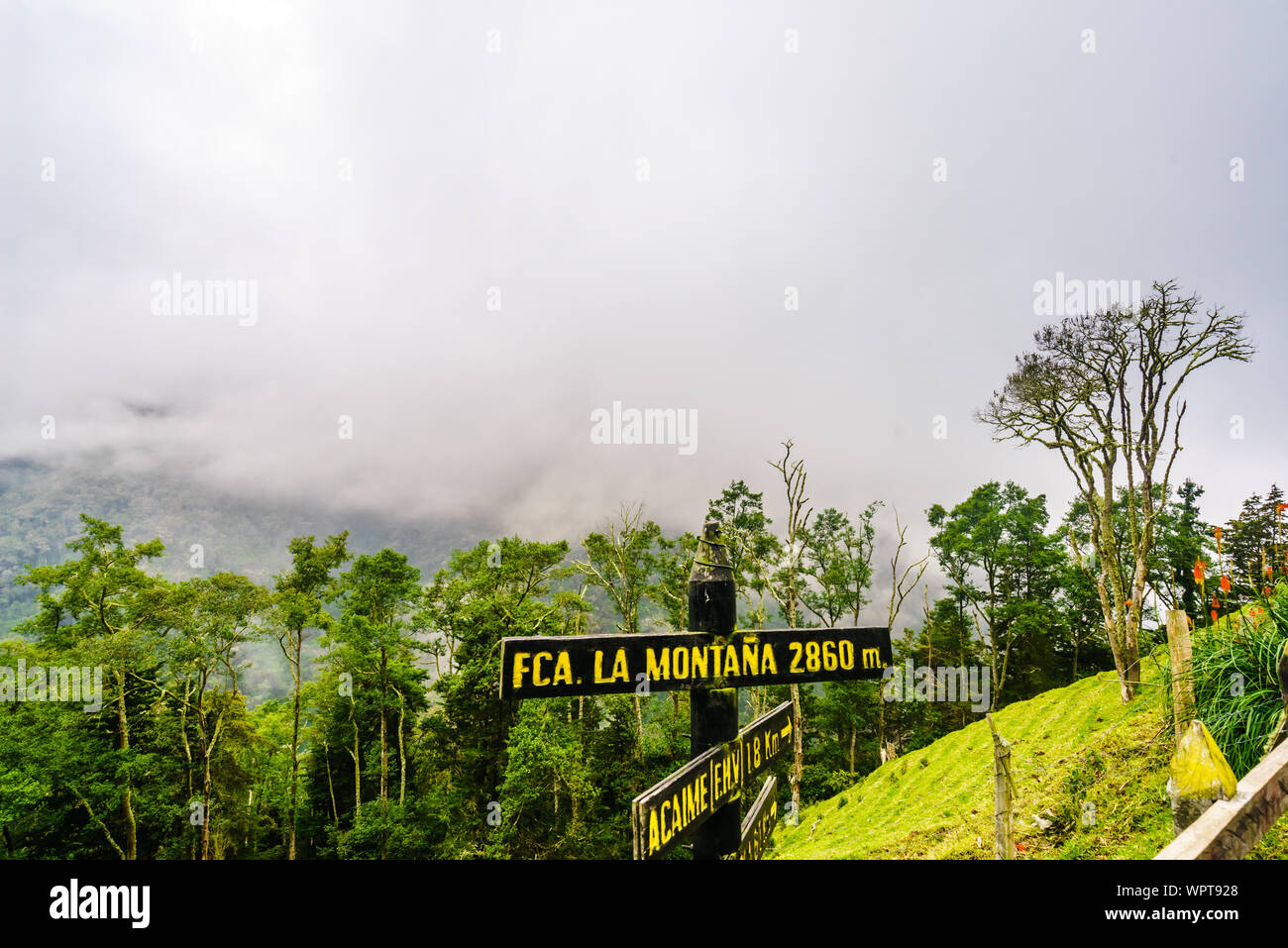 Top of mountain in Cocora Valley next to Salento, Colombia Stock Photo
