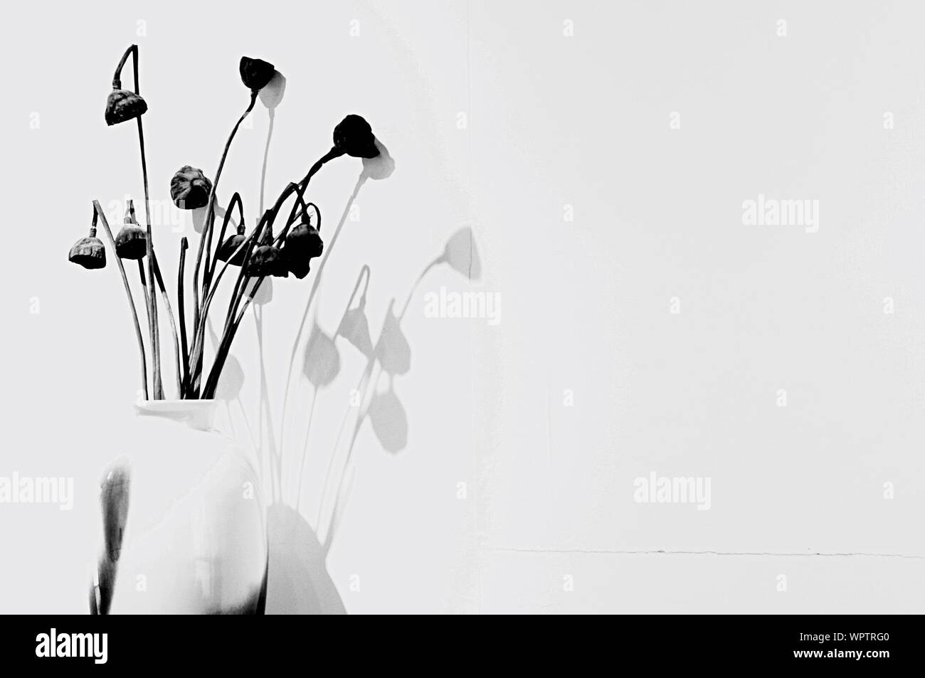 Flowers In Vase Against Wall Stock Photo Alamy