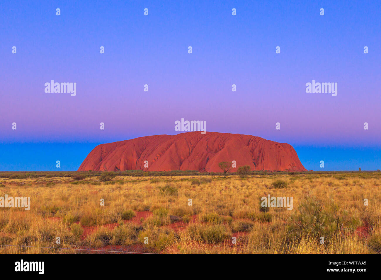 The spectacular colors of Uluru-Kata Tjuta National Park - a Living Cultural Landscape in Australia, Northern Territory. Uluru or Ayers Rock after Stock Photo