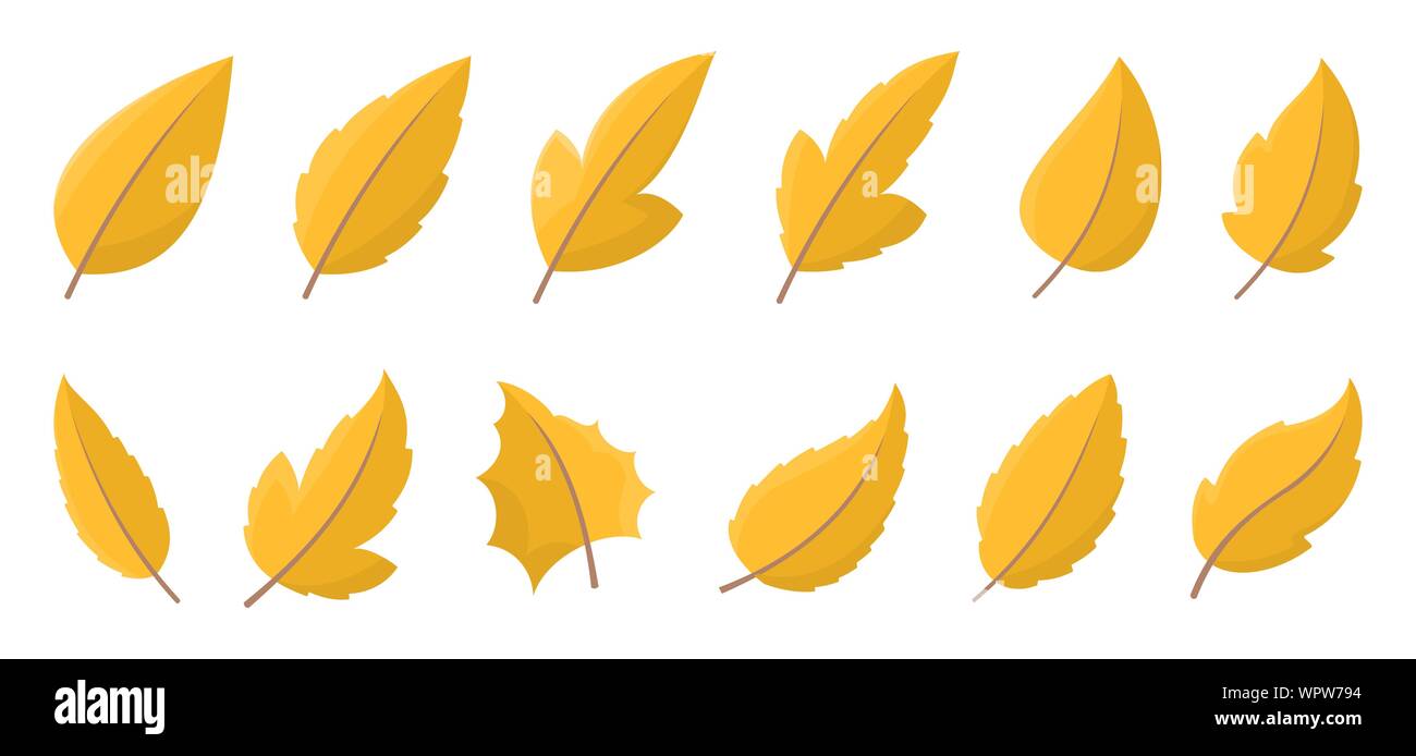 Autumn leaf set Stock Vector Image & Art - Alamy