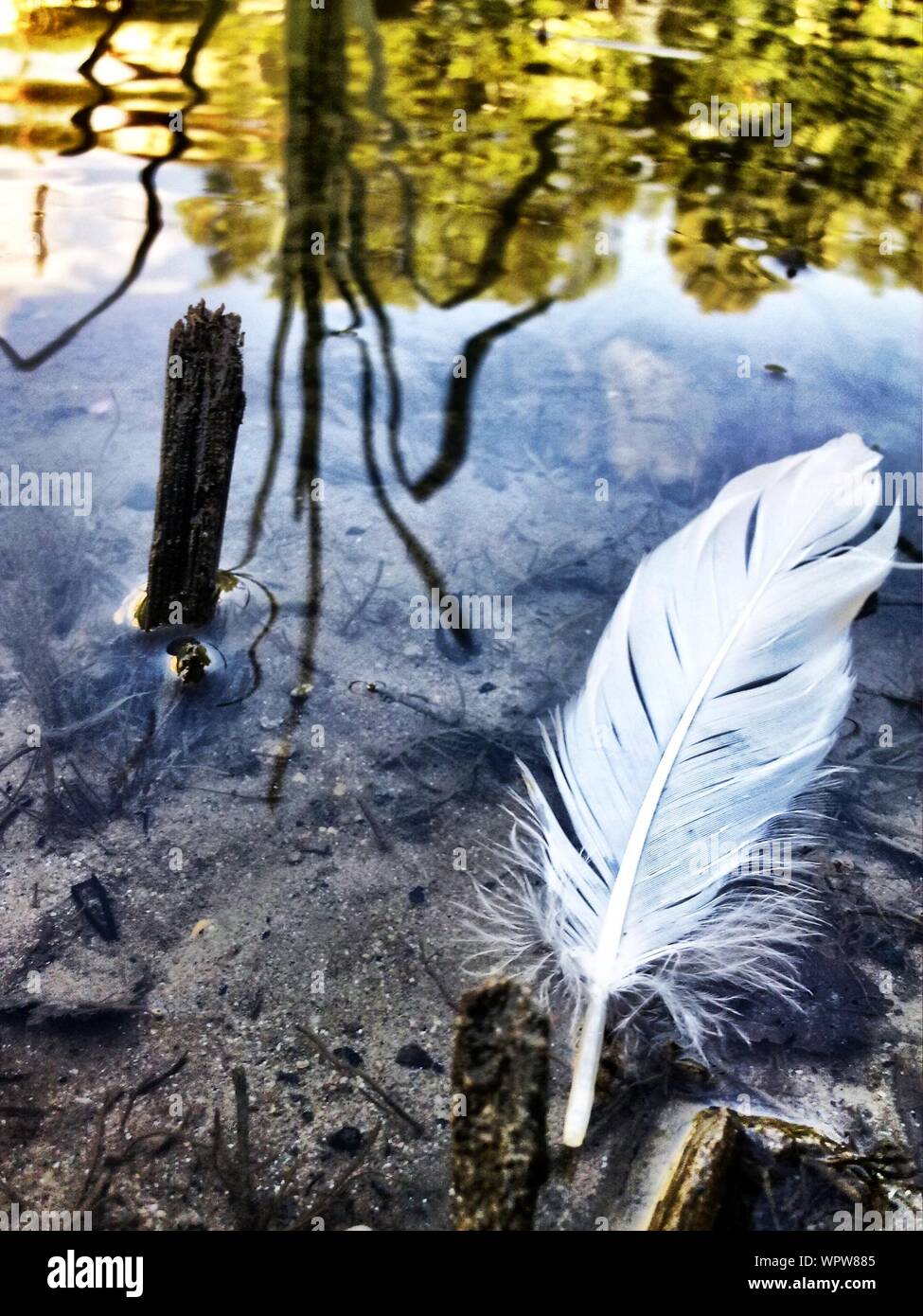 Feather floating hires stock photography and images Alamy