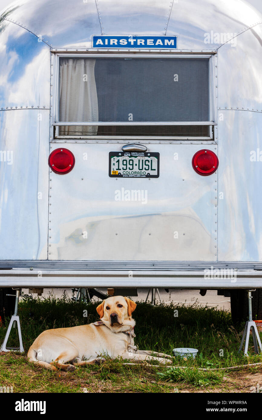 Large pet dog laying by Airstream camping trailer at the Vintage Airstream Club Rocky Mountain Rally Stock Photo
