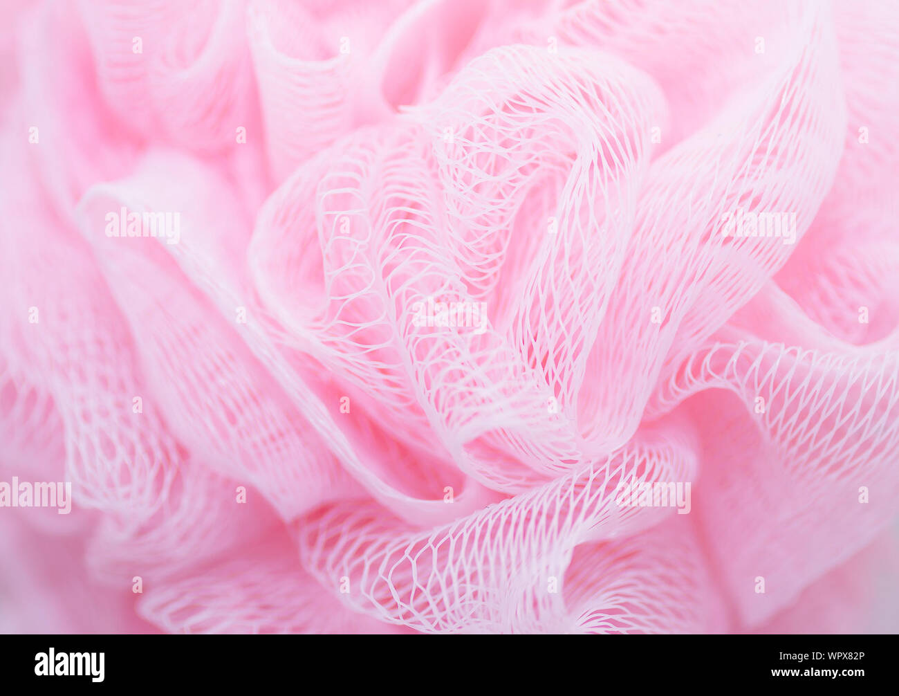 Detail Shot Of Pink Loofah Stock Photo
