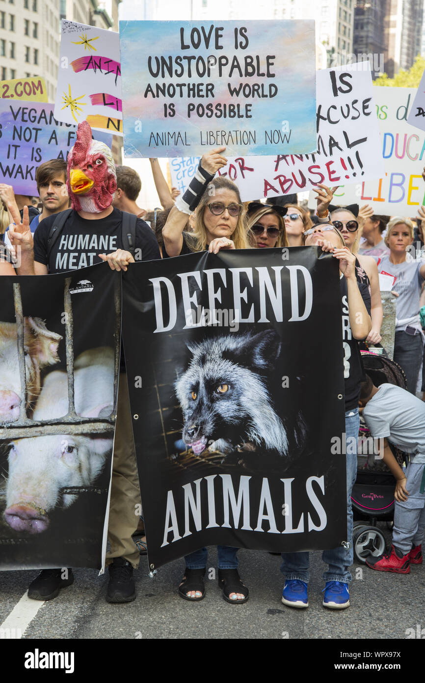 The Official Animal Rights March on August 24, 2019 filled Broadway at the Flatiron Building and marched to Tompkins Square Park in New York City. It called for the protection of all animals and to also "Go Vegan" for the good of the planet. Stock Photo