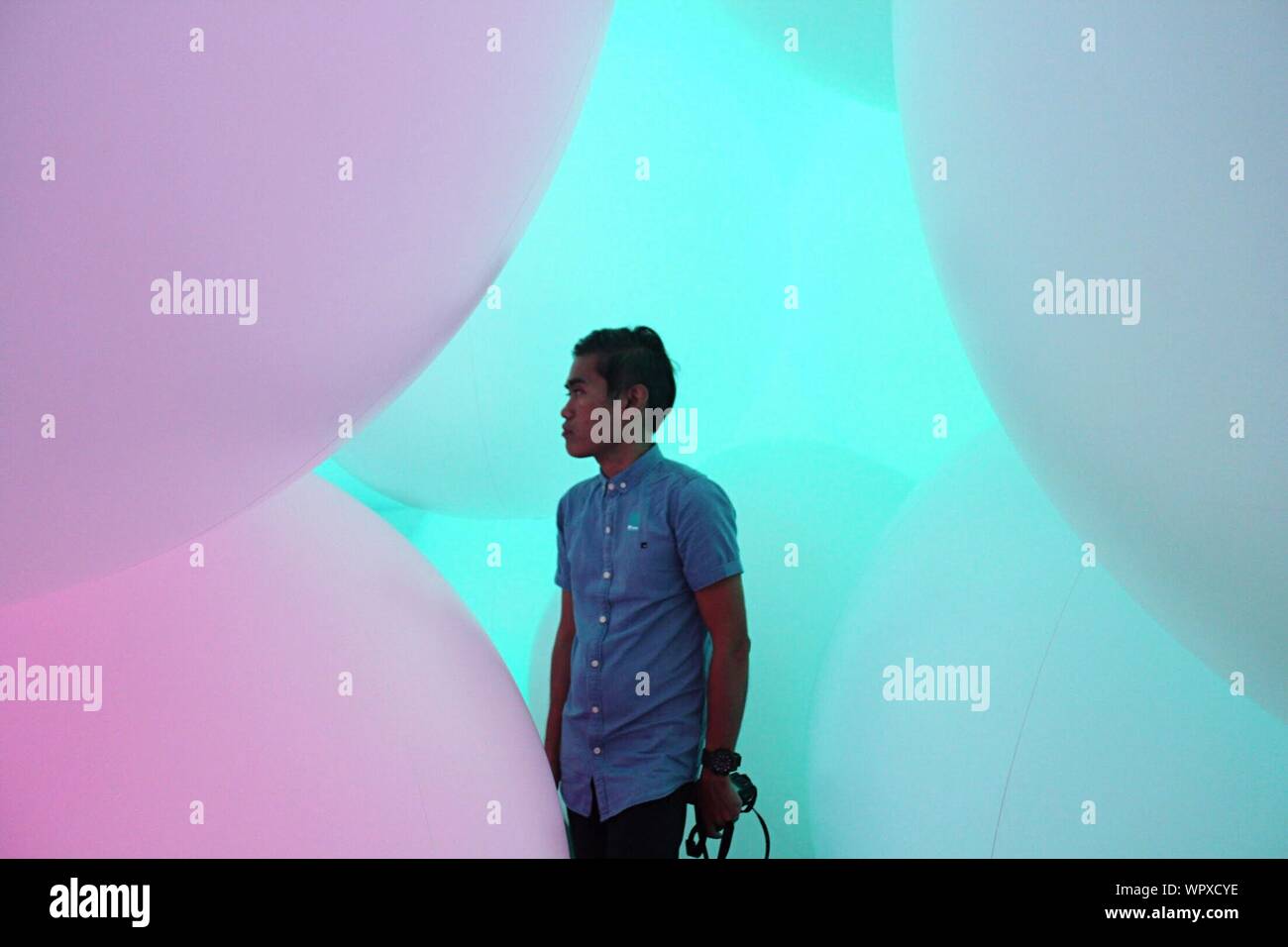 Man looking at art in an art gallery hi-res stock photography and ...