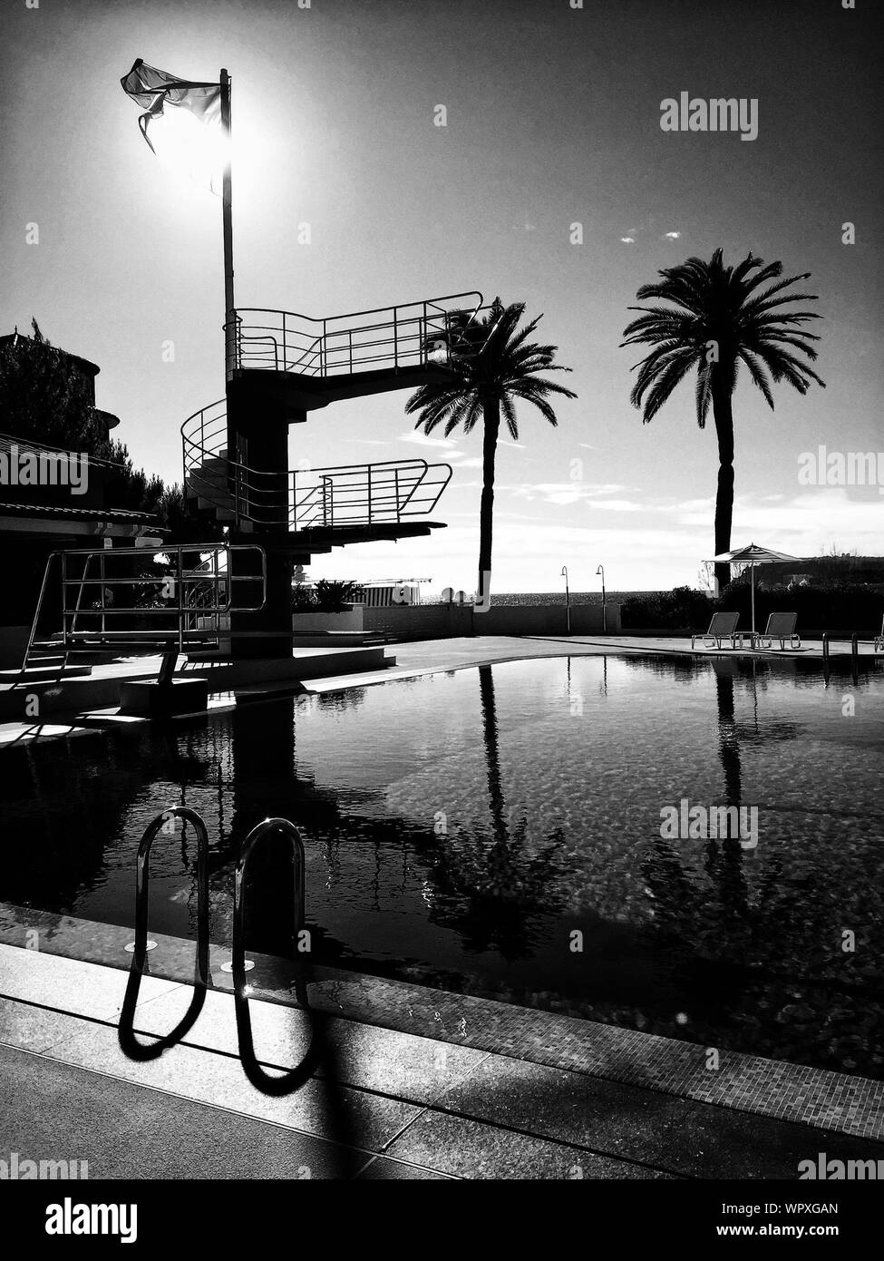 Palm tree swimming pool Black and White Stock Photos & Images - Alamy