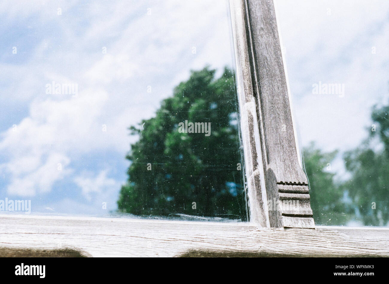 Trees Reflecting On The Window High Resolution Stock Photography and ...