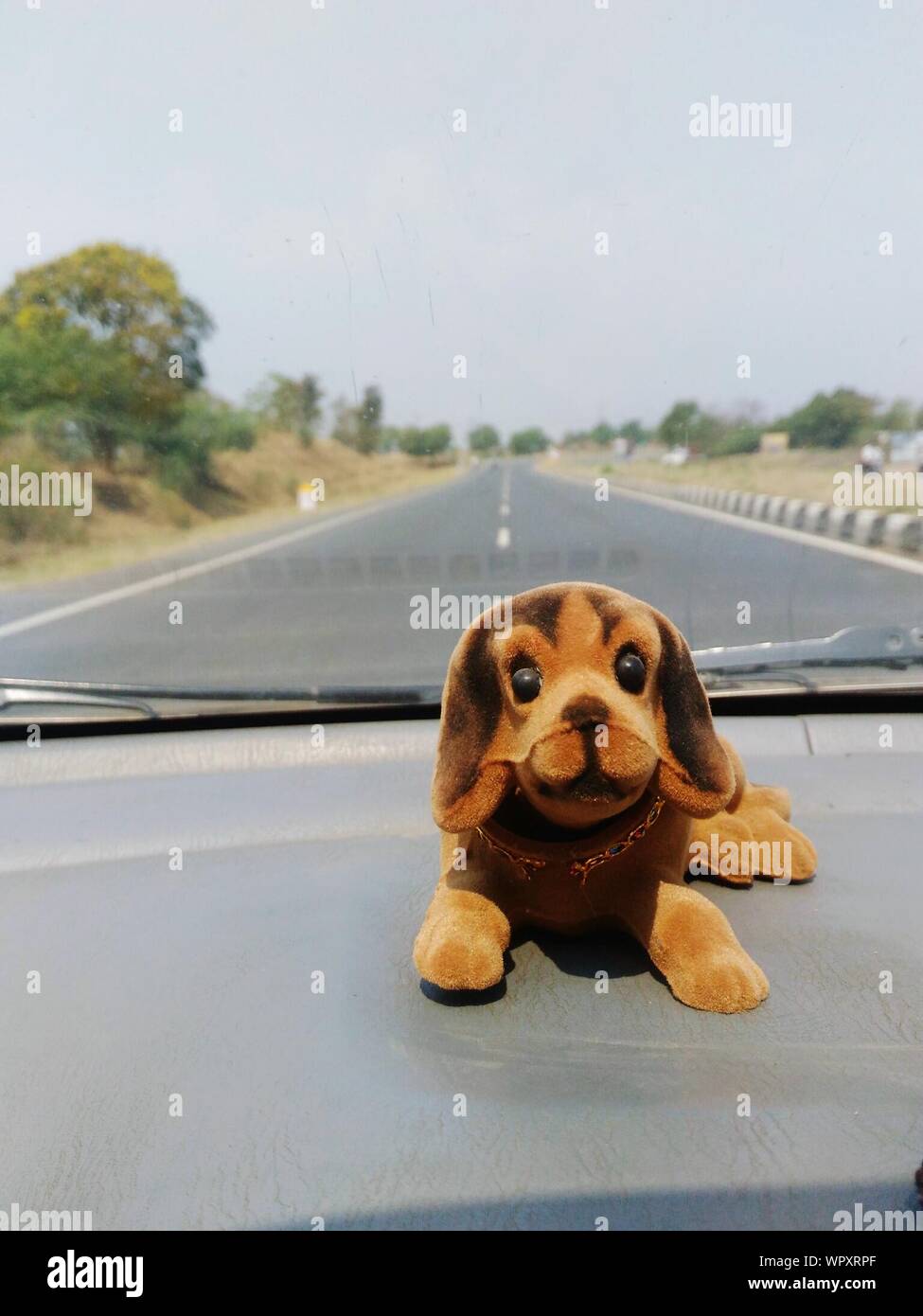 stuffed animals on dashboard