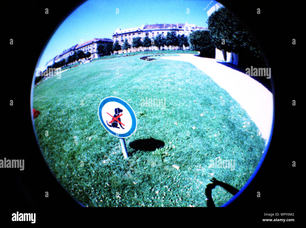 No Dogs Allowed Sign In Park Stock Photo Alamy