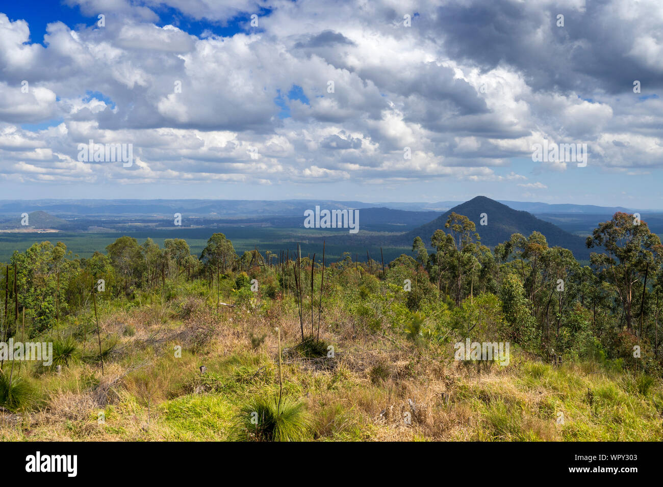 Glasshouse Mountains Queensland Landscape Australia Stock Photo