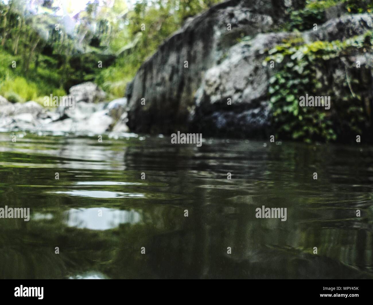 Water Surface Level View Of River Stock Photo