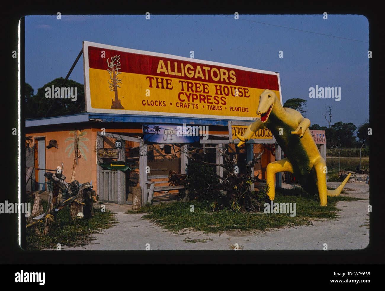 Manny's Alligator Center, Oak Hill, Florida Stock Photo Alamy