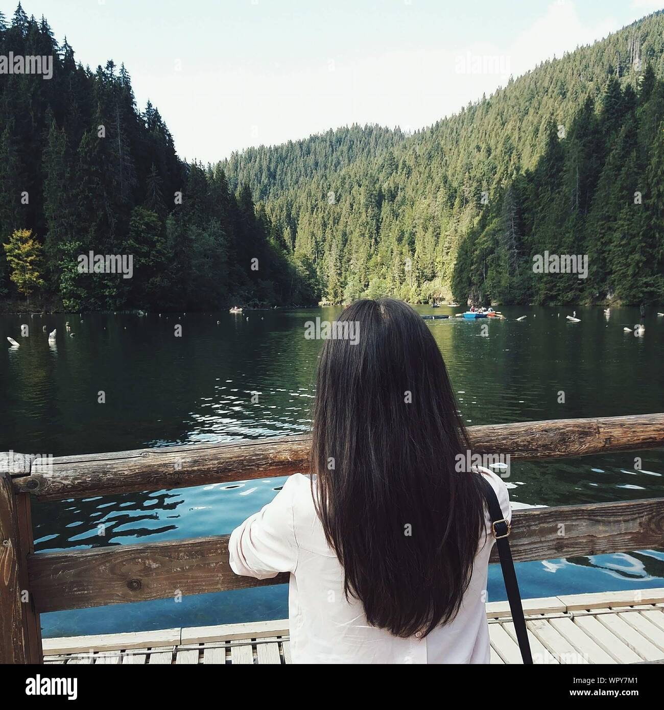 Rear View Of Woman Standing By Lake Forest Stock Photo