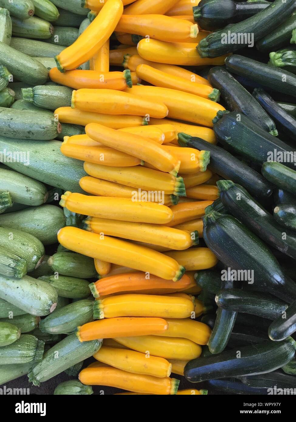 are crook neck squash safe for dogs