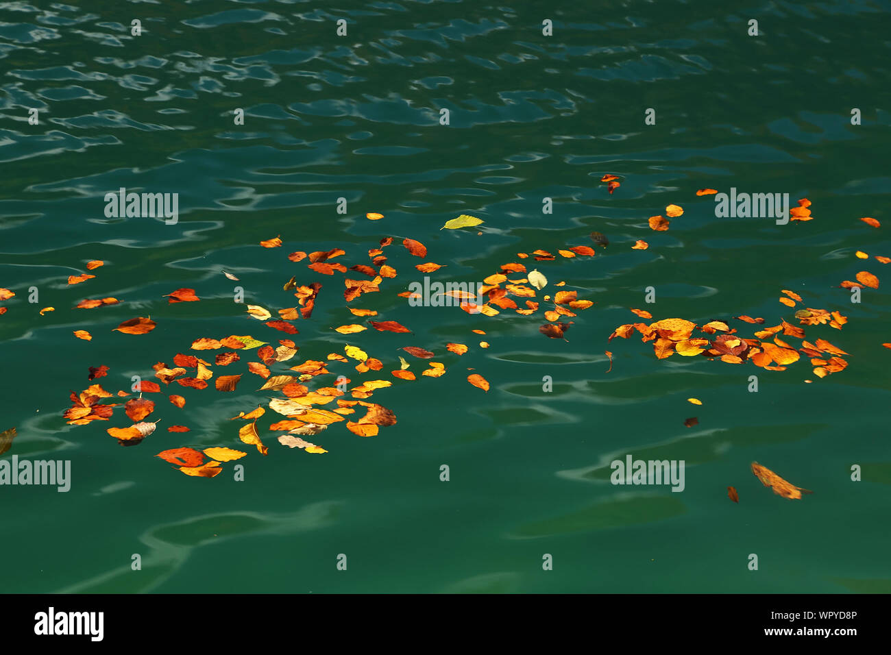 Floating water hires stock photography and images Alamy