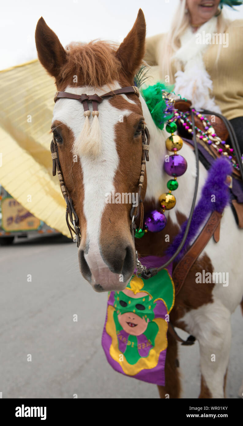 mardi gras 2025 bandera texas